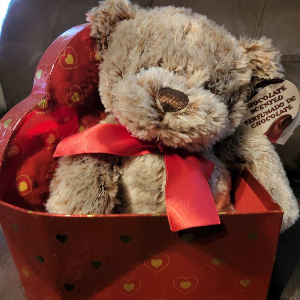 Chocolate-Scented Plush Teddy with Red Bow
